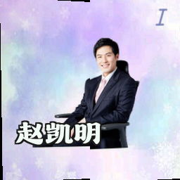 赵凯明
