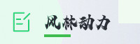 合作伙伴